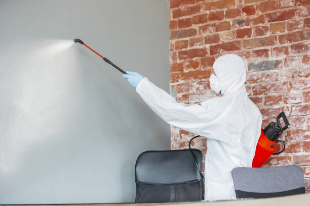 Best Asbestos and Lead Testing During Mold Inspection  in Panthersville, GA
