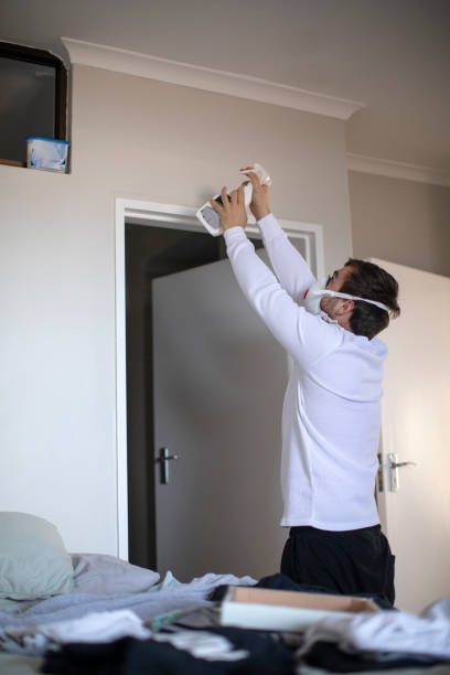 Best Water Damage & Mold Remediation  in Panthersville, GA