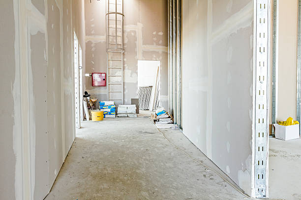 Best Emergency Mold Remediation  in Panthersville, GA