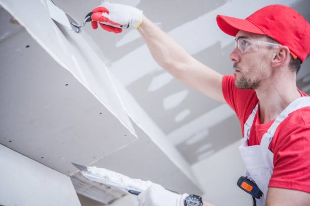 Best Basement Mold Removal  in Panthersville, GA