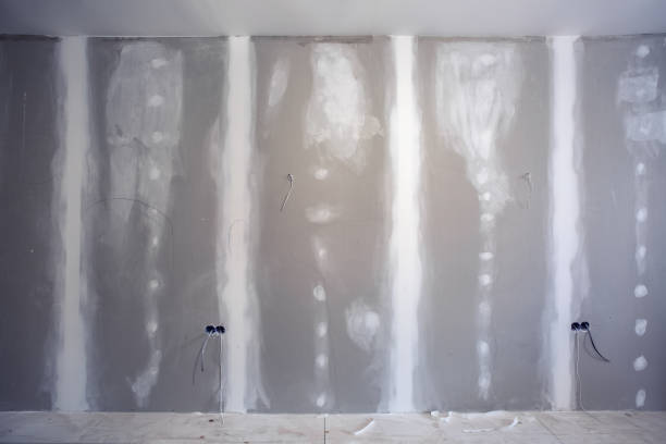 Best Real Estate Mold Inspection  in Panthersville, GA